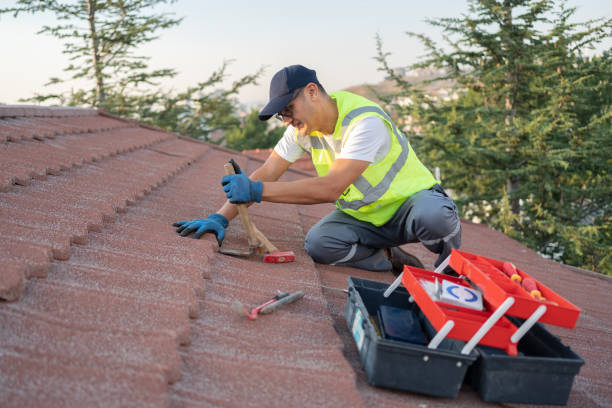 Best Roof Gutter Cleaning  in Garden City, KS